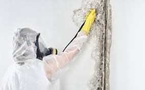 Best Dehumidification Services  in Prosperity, SC